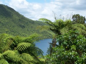 Accent Health Recruitment | Kiwi Slang 101: A Survival Guide for Overseas Doctors in New Zealand Rotorua